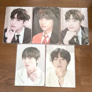 BTS 태현 프리미엄 사진 5개 묶음 판매