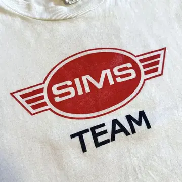 SIMS 심스 SKATEBOARD 스케이트 ALSTYLE 제 티셔츠