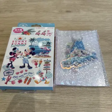 써니 써니 썸머 디즈니 리조트 키체인 시크릿