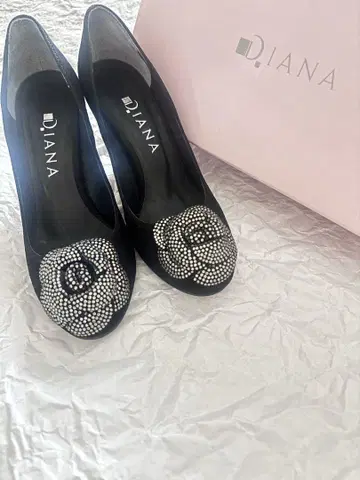DIANA 힐 블랙 까멜리아 로즈 장미 23cm