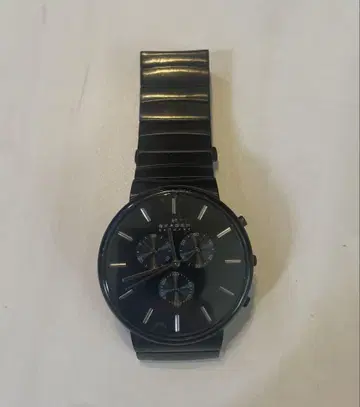 SKAGEN 손목시계 블랙
