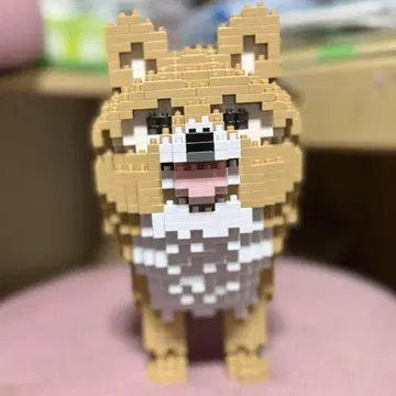 제카 블록 포메라니안