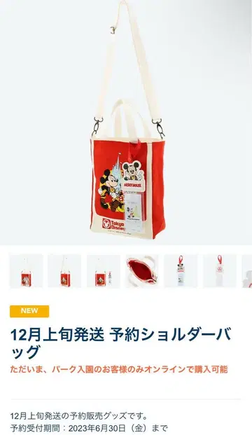 디즈니 40주년 한정판 토트백