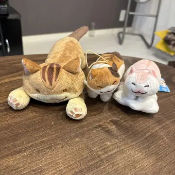 고양이 봉제 인형 3종 세트