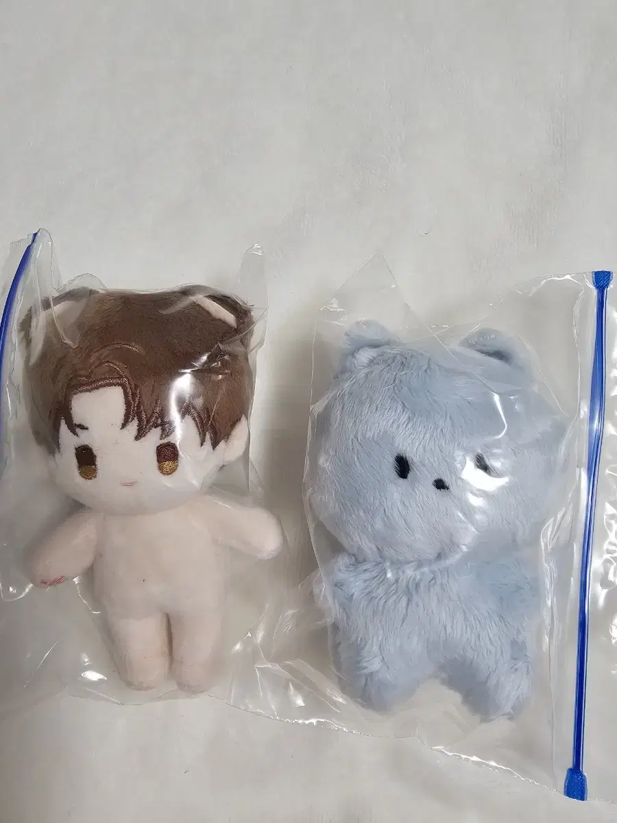 데못죽 콩큰세 큰세절미 일괄 10cm 콩스타 테스타 원가이하