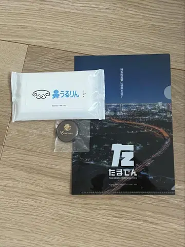하이큐 팬 파크 입장 혜택 코가 따끔따끔 타마덴 리옹소