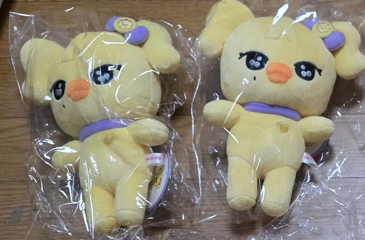 쿨거반택포)아이브 미니브 스쿨 팝업 레이 나오리