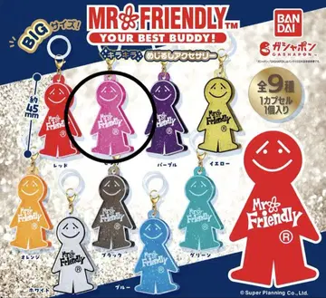 MR.FRIENDLY 미스터 프렌드 가챠가챠 메지루시 액세서리