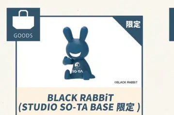 최저가 블랙 토끼 스튜디오 소타 베이스 한정 컬러 BLACK RABBiT