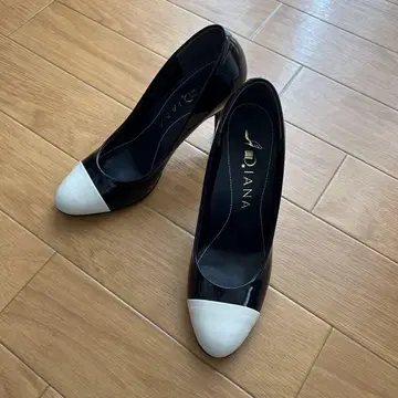 DIANA 펌프스