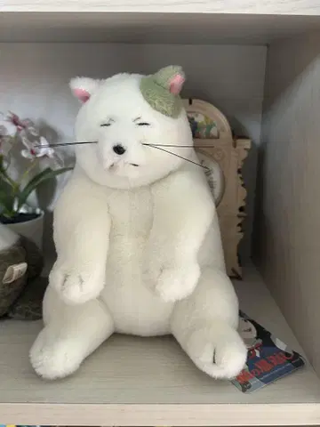 고양이의 보답 나카요시 오테다마 무타