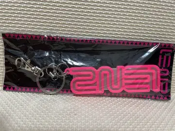 2NE1 빅 아크릴 키링 팬클럽 라이브 한정품