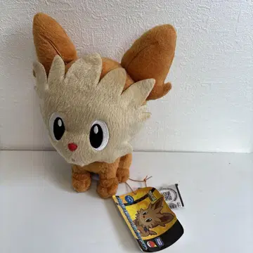 Yorkey 봉제 인형 약 25cm 택 포함