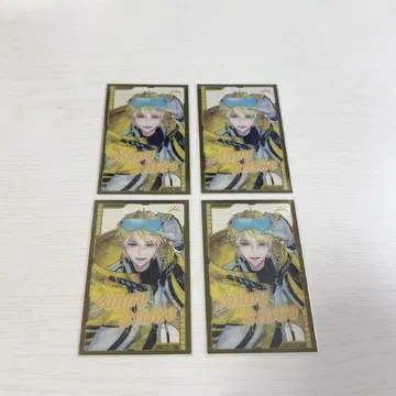 써니 블리스코 폴라로이드