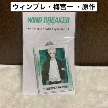 우메미야 이치 WIND BREAKER 윈브레 투인클 키링 원작