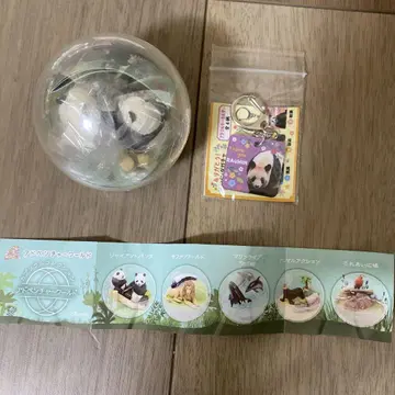 어드벤처 월드 카프리움 아크릴 키링 팬더 세트