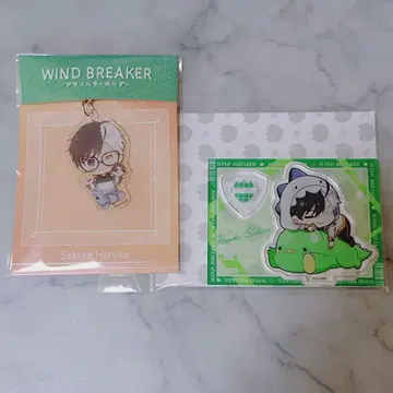 WIND BREAKER 벚꽃 갸오코레