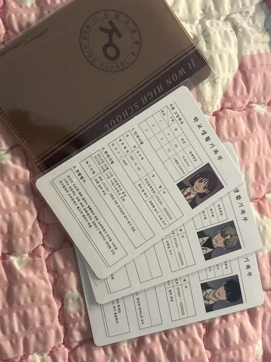 Operation Name Innocence Student Record
