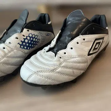 엄브로 축구화