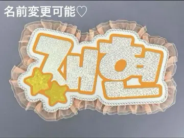 네임 보드 재현 보이넥 보넥도 네무보 실버 홀로그램