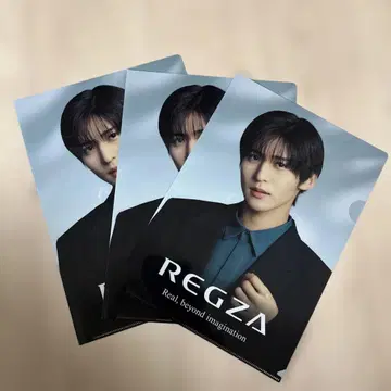 REGZA 메구로 렌 클리어 파일 3매 세트 덤 포함