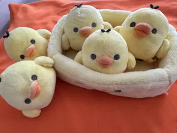 키이로이토리 묶음 판매