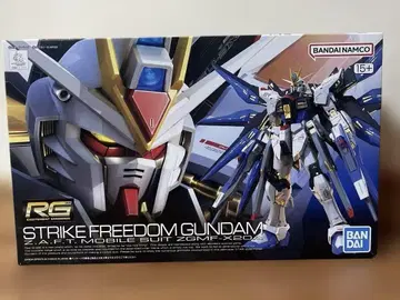 RG 스트라이크 프리덤