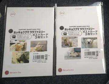 마루야마 동물원 엽서 북극곰
