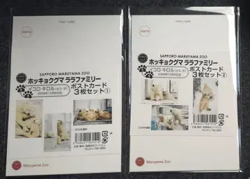 마루야마 동물원 엽서 북극곰