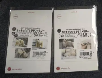 마루야마 동물원 엽서 북극곰