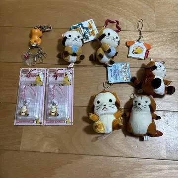 라스칼 세트