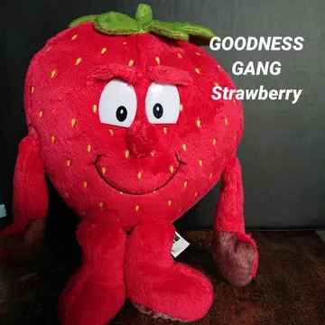 GOODNESS GANG 굿니스 갱 이치고