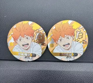 하이큐 팬 파크 캔뱃지 합동 연습회 2021 히나타 쇼요