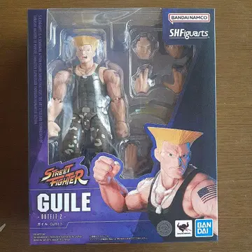 SHFiguarts 가일