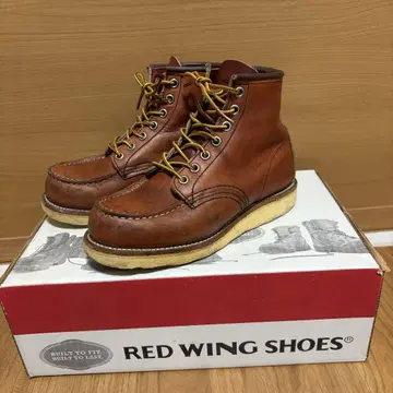 레드윙 8875 US4 E 아이리쉬 세터 REDWING