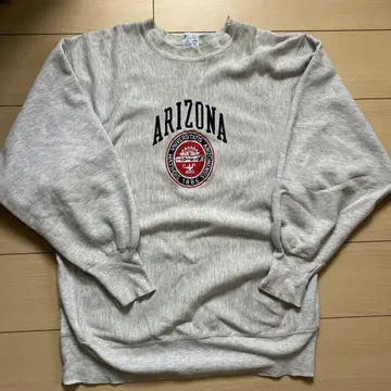 챔피온 리버스 위브 ARIZONA 90s