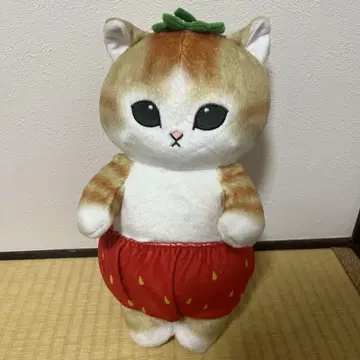 딸기 팬츠를 입은 고양이 봉제 인형 약 30cm 모프 샌드