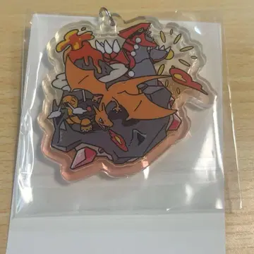 그라돈 리자몽 코타스 아크릴 키링 OTENKI TEAM