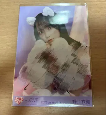 이코라브 노구치 이오리 친필
