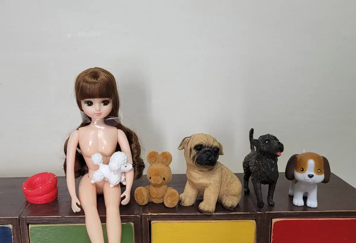 Doll accessories, miniature dog doll bulk, 1/6 doll dog, miniature dog, room box dog