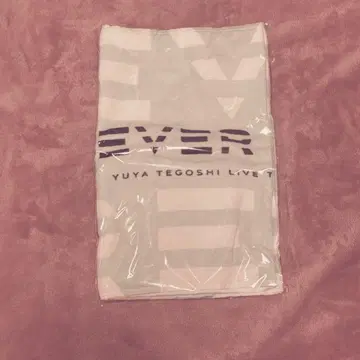 테고시 유야 LIVETOUR2025 NEVER END 페이스 타월
