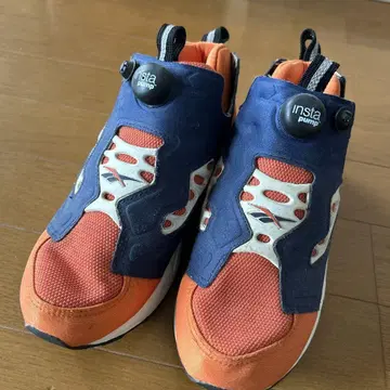 펌프 퓨리