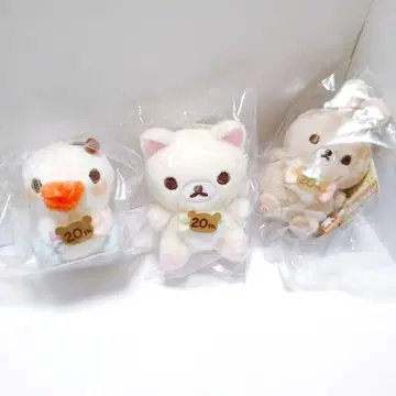 코리락쿠마 3개 세트 성 곰 형식