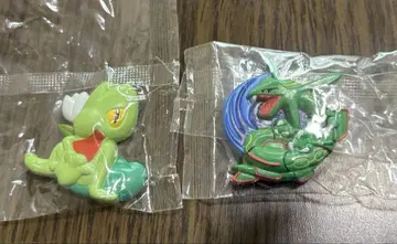 포켓몬 레쿠자 키모리 마그넷 세트