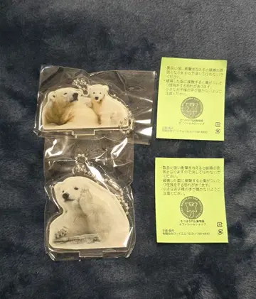 마루야마 동물원 북극곰 아크릴 키링 라라 릴라 피리카