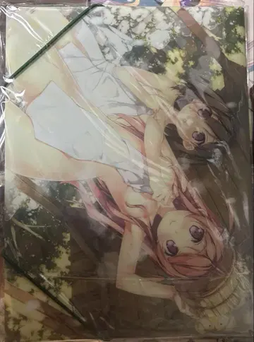C81 칸토쿠 클리어 바인더
