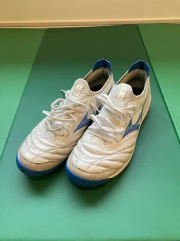 모레리아 NEO SALA 베타 일본 TF 28cm