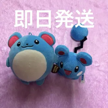 포켓몬 봉제 인형