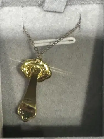 골드 장식 목걸이 케이스 포함