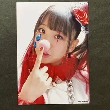 카시와기 유키 AKB48 돈키호테 혜택